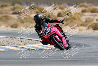 media/Mar-13-2022-SoCal Trackdays (Sun) [[112cf61d7e]]/Turn 4 (145pm)/